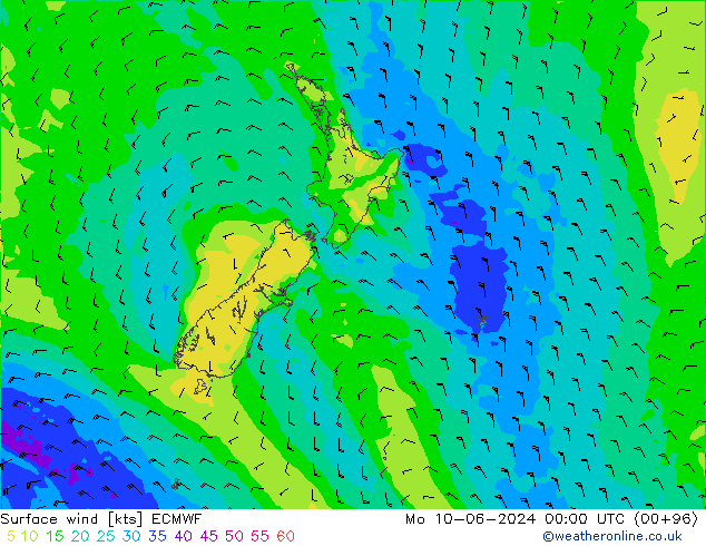 ветер 10 m ECMWF пн 10.06.2024 00 UTC