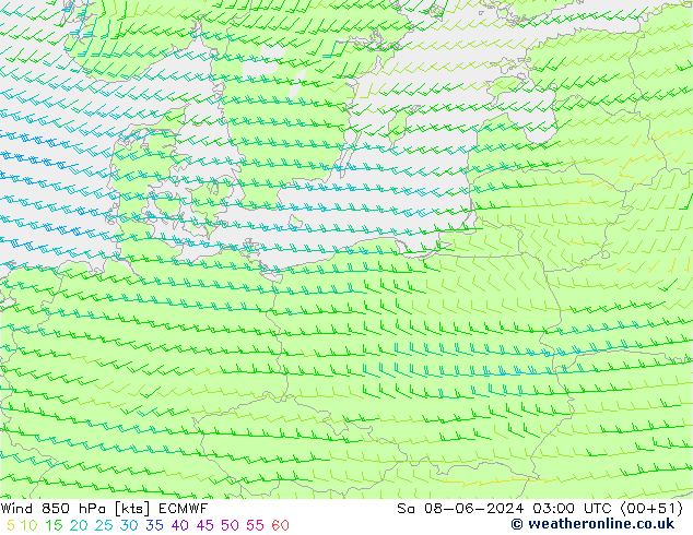 Wind 850 hPa ECMWF Sa 08.06.2024 03 UTC