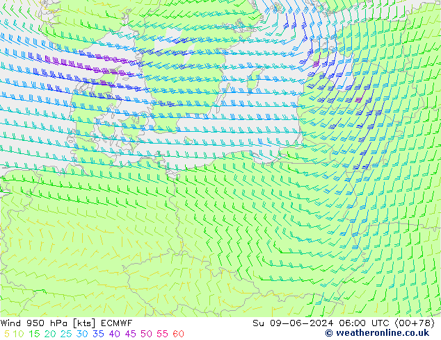  950 hPa ECMWF  09.06.2024 06 UTC