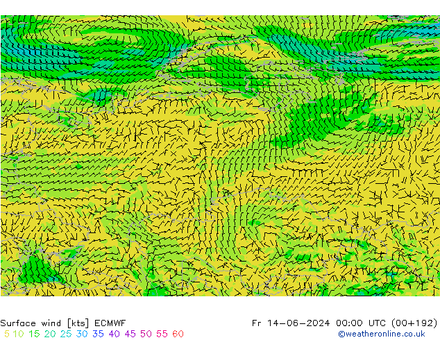 Surface wind ECMWF Fr 14.06.2024 00 UTC