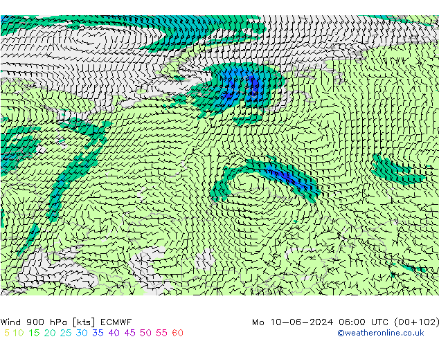  900 hPa ECMWF  10.06.2024 06 UTC