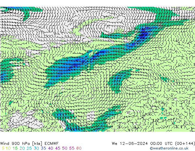 ветер 900 гПа ECMWF ср 12.06.2024 00 UTC