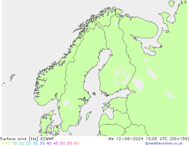 Wind 10 m ECMWF wo 12.06.2024 12 UTC