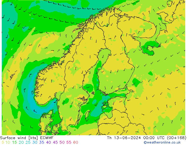 ветер 10 m ECMWF чт 13.06.2024 00 UTC