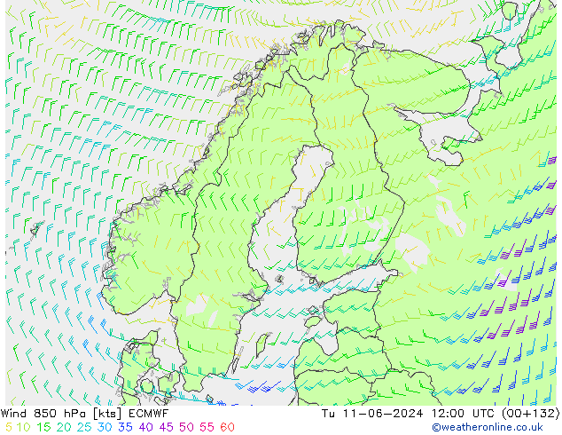 Wind 850 hPa ECMWF di 11.06.2024 12 UTC