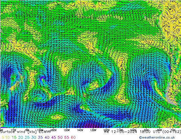 Surface wind ECMWF We 12.06.2024 18 UTC