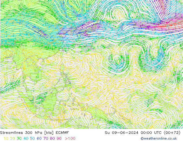 Stromlinien 300 hPa ECMWF So 09.06.2024 00 UTC