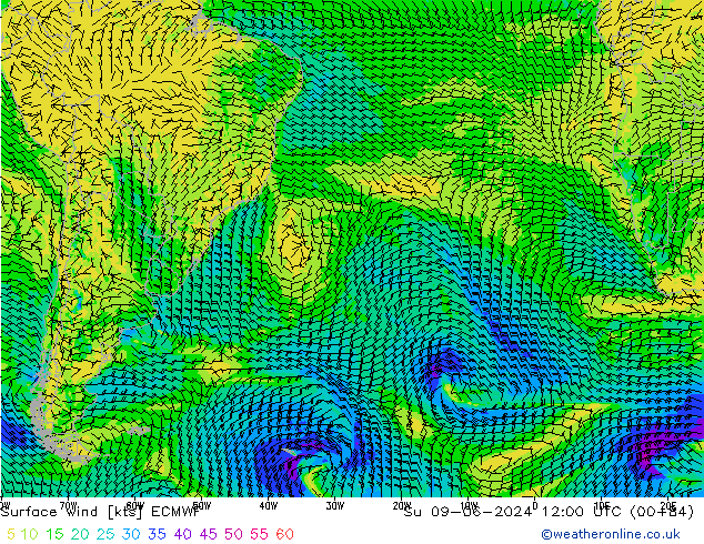 Prec 6h/Wind 10m/950 ECMWF dom 09.06.2024 12 UTC