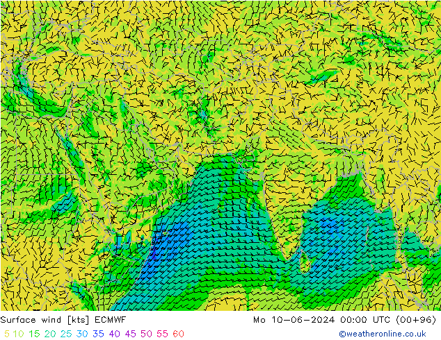 Prec 6h/Wind 10m/950 ECMWF pon. 10.06.2024 00 UTC