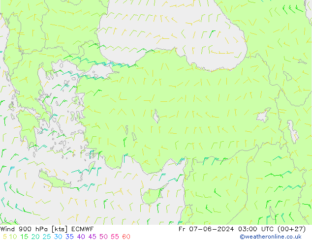 Wind 900 hPa ECMWF Fr 07.06.2024 03 UTC