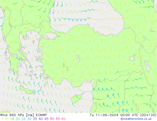  950 hPa ECMWF  11.06.2024 00 UTC