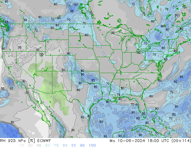 925 hPa Nispi Nem ECMWF Pzt 10.06.2024 18 UTC