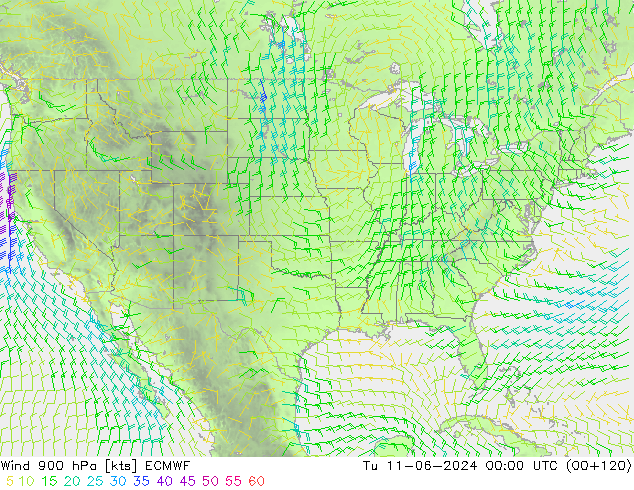 Wind 900 hPa ECMWF di 11.06.2024 00 UTC