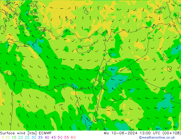 Surface wind ECMWF Mo 10.06.2024 12 UTC