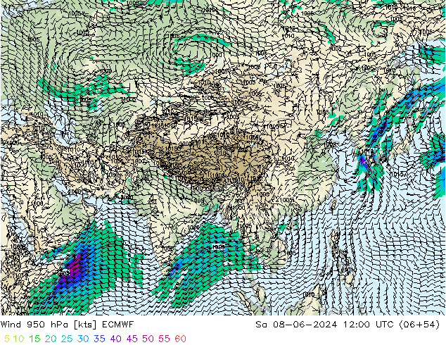 Vento 950 hPa ECMWF Sáb 08.06.2024 12 UTC