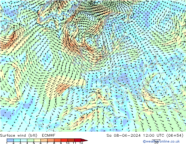 Rüzgar 10 m (bft) ECMWF Cts 08.06.2024 12 UTC