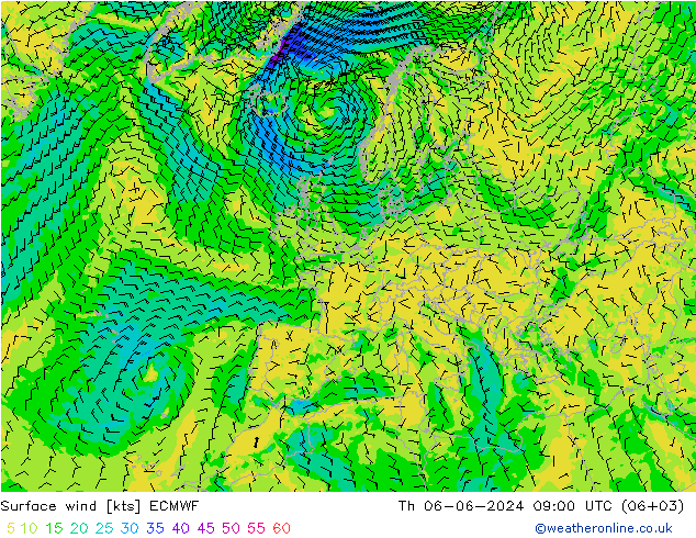 ветер 10 m ECMWF чт 06.06.2024 09 UTC