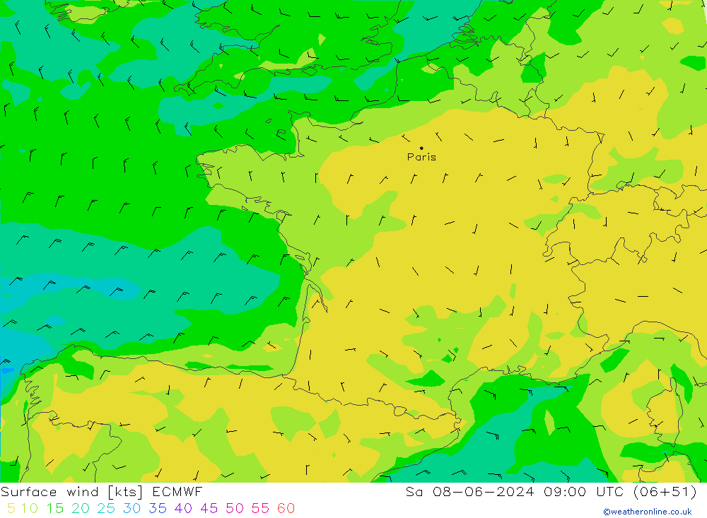 Surface wind ECMWF Sa 08.06.2024 09 UTC