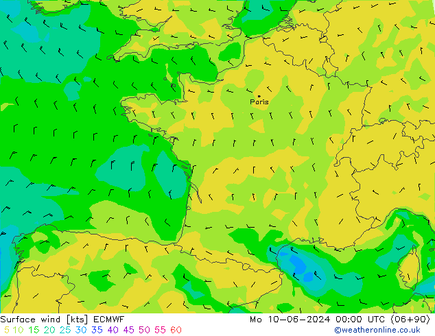 ветер 10 m ECMWF пн 10.06.2024 00 UTC