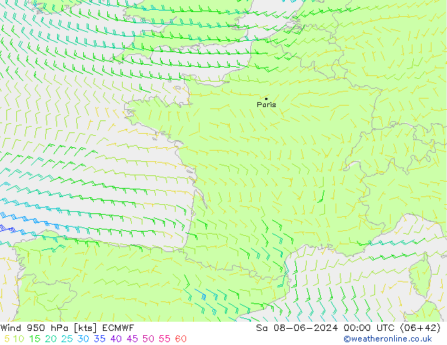 Rüzgar 950 hPa ECMWF Cts 08.06.2024 00 UTC