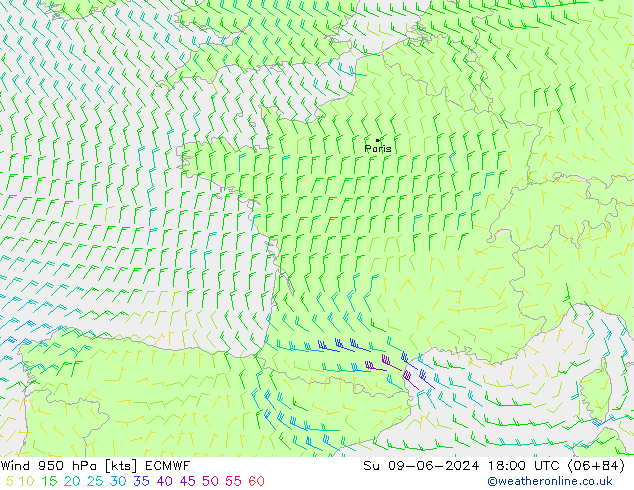 ветер 950 гПа ECMWF Вс 09.06.2024 18 UTC