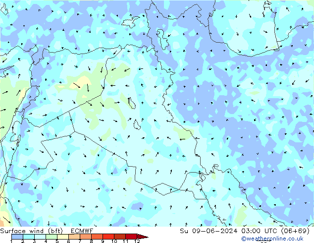 wiatr 10 m (bft) ECMWF nie. 09.06.2024 03 UTC