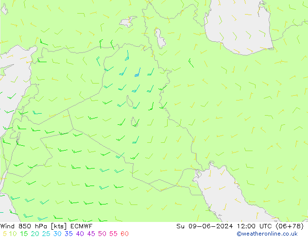 Wind 850 hPa ECMWF Su 09.06.2024 12 UTC