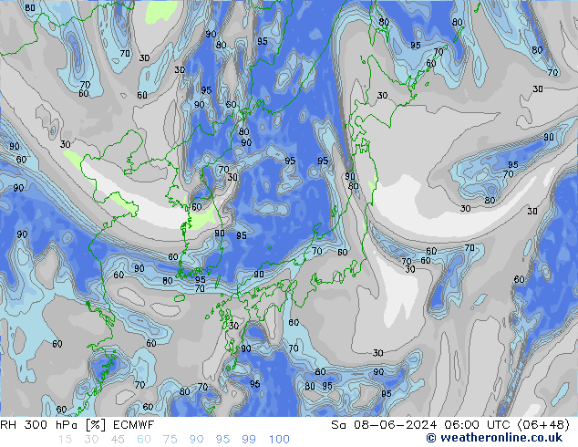 Humedad rel. 300hPa ECMWF sáb 08.06.2024 06 UTC