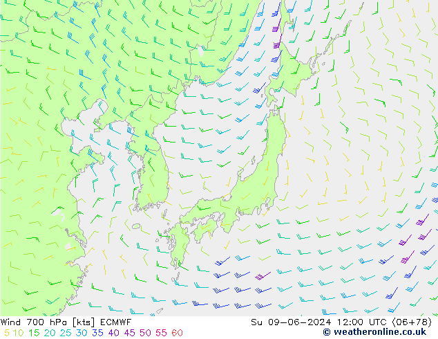 Rüzgar 700 hPa ECMWF Paz 09.06.2024 12 UTC