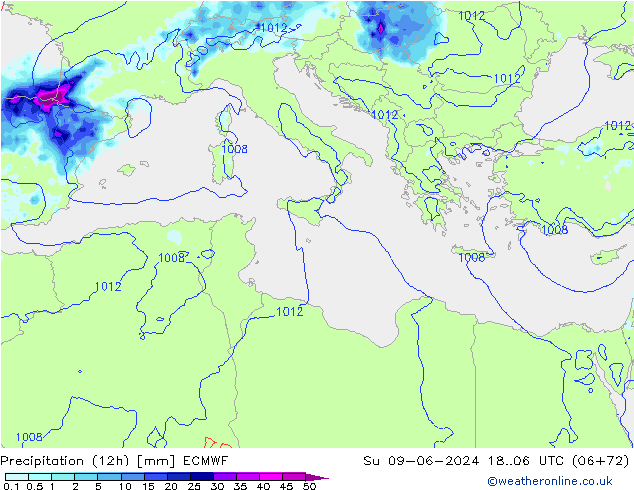 Yağış (12h) ECMWF Paz 09.06.2024 06 UTC