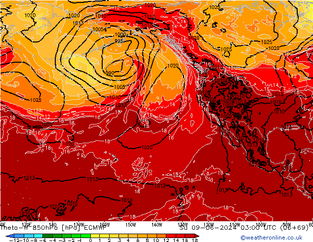 Theta-W 850hPa ECMWF Dom 09.06.2024 03 UTC