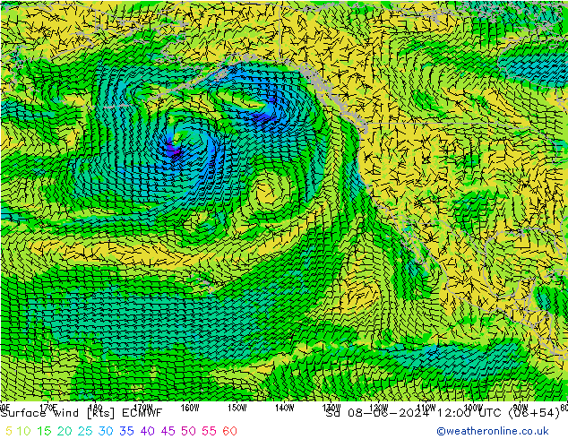 Vent 10 m ECMWF sam 08.06.2024 12 UTC