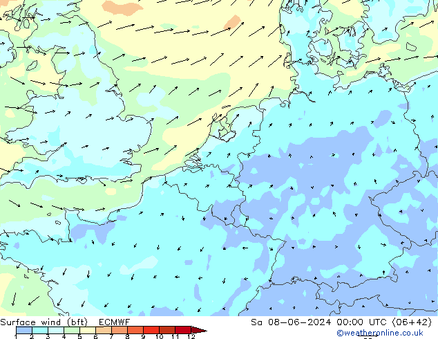 Bodenwind (bft) ECMWF Sa 08.06.2024 00 UTC