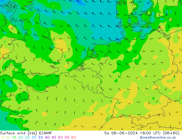 Surface wind ECMWF Sa 08.06.2024 18 UTC