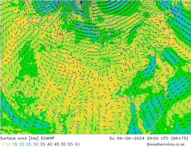 Wind 10 m ECMWF zo 09.06.2024 09 UTC