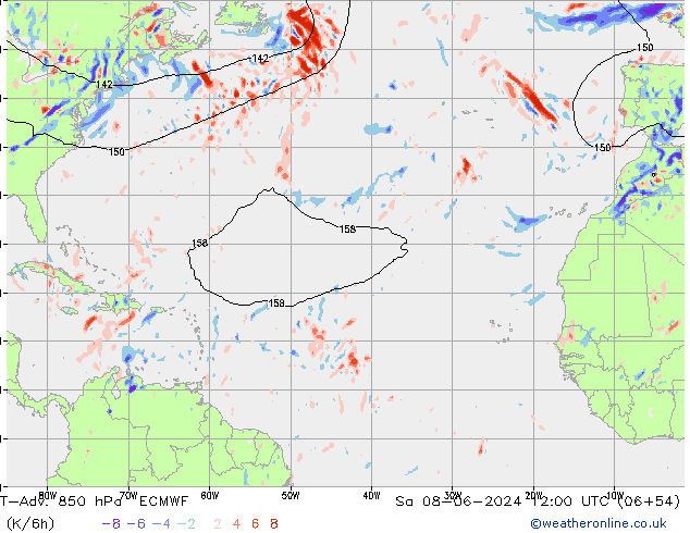 T-Adv. 850 hPa ECMWF so. 08.06.2024 12 UTC