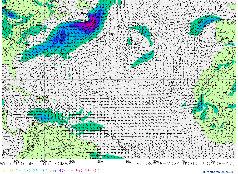 Wind 950 hPa ECMWF Sa 08.06.2024 00 UTC