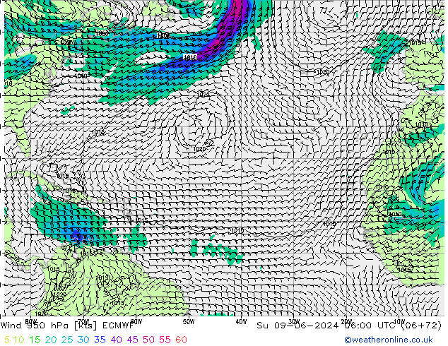 ветер 950 гПа ECMWF Вс 09.06.2024 06 UTC