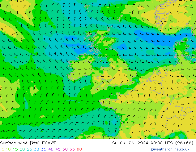 Viento 10 m ECMWF dom 09.06.2024 00 UTC