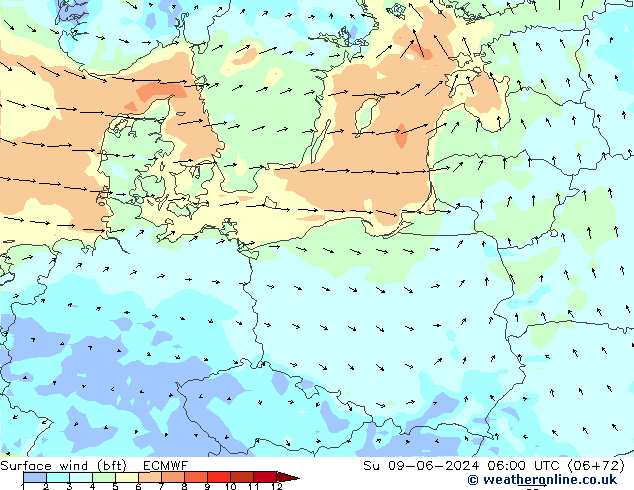  10 m (bft) ECMWF  09.06.2024 06 UTC