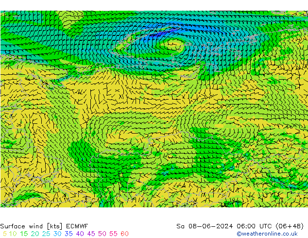 Vento 10 m ECMWF sab 08.06.2024 06 UTC