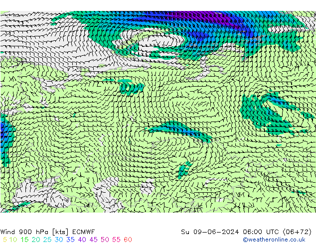 ветер 900 гПа ECMWF Вс 09.06.2024 06 UTC