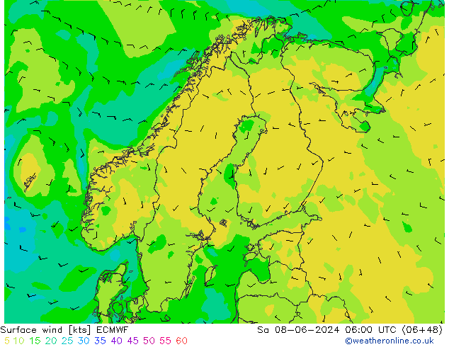 wiatr 10 m ECMWF so. 08.06.2024 06 UTC