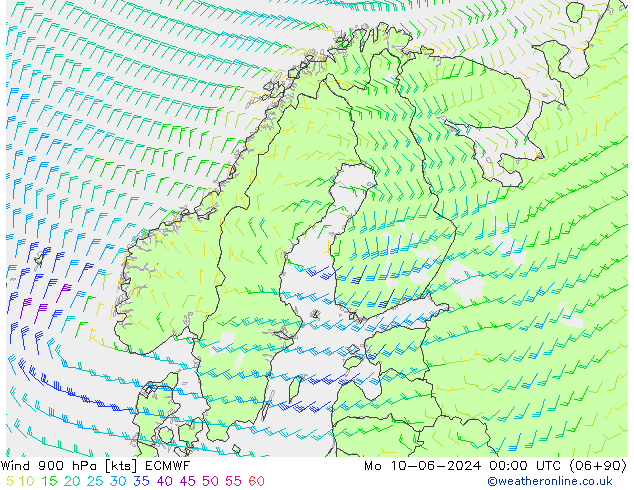 Wind 900 hPa ECMWF Mo 10.06.2024 00 UTC