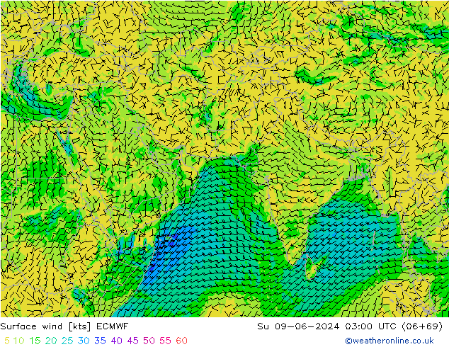 Vento 10 m ECMWF Dom 09.06.2024 03 UTC