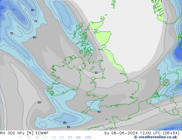 Humedad rel. 300hPa ECMWF sáb 08.06.2024 12 UTC