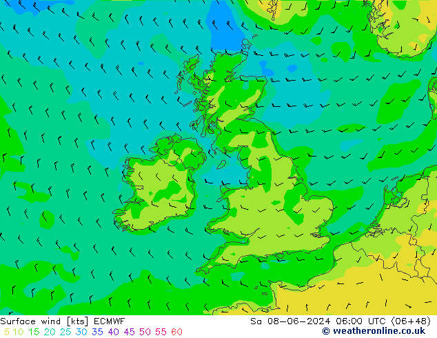 ветер 10 m ECMWF сб 08.06.2024 06 UTC