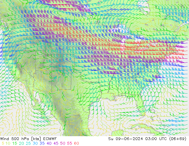 Vent 500 hPa ECMWF dim 09.06.2024 03 UTC