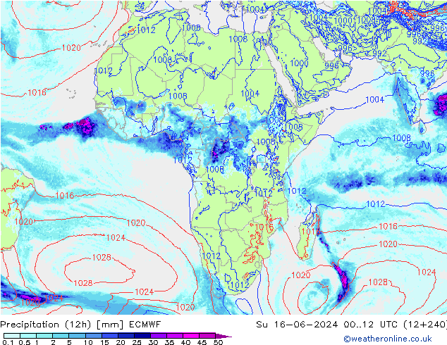 Precipitation (12h) ECMWF Su 16.06.2024 12 UTC