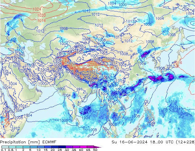 Precipitación ECMWF dom 16.06.2024 00 UTC